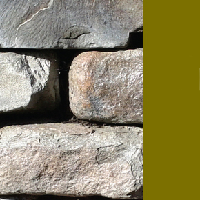 Buffalo’s Business